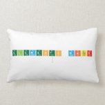 Elements Matter
   Pillows (Lumbar)