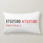 XTS2500  Pillows (Lumbar)