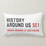 History  Around Us  Pillows (Lumbar)