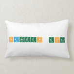 Sandeep gola   Pillows (Lumbar)