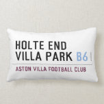 HOLTE END VILLA PARK  Pillows (Lumbar)