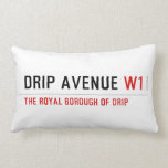 Drip Avenue  Pillows (Lumbar)