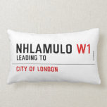 Nhlamulo  Pillows (Lumbar)