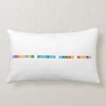 Renaissance Academy Scholars Rocks!  Pillows (Lumbar)