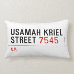 usamah kriel street  Pillows (Lumbar)