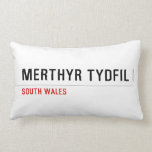 Merthyr Tydfil  Pillows (Lumbar)