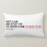 keep clam  and study for  the board exam  Pillows (Lumbar)