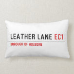 Leather Lane  Pillows (Lumbar)