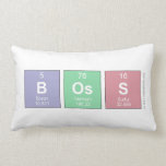 boss  Pillows (Lumbar)
