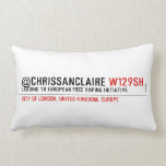 @ChrisSanClaire  Pillows (Lumbar)