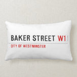 Baker street  Pillows (Lumbar)