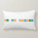 Sujan Shrestha   Pillows (Lumbar)