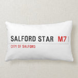 Salford star   Pillows (Lumbar)