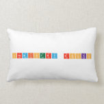 Chemistry Rocks  Pillows (Lumbar)
