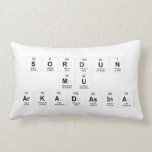 SORDUN 
 MU
 ARKADASINA  Pillows (Lumbar)
