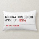 Coronation Quiche  (piss up)  Pillows (Lumbar)