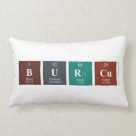 Burcu  Pillows (Lumbar)