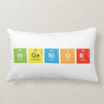 Ingenior  Pillows (Lumbar)