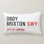 DBOY BRIXTON  Pillows (Lumbar)