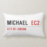 Michael   Pillows (Lumbar)