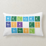 Welcome
 Back to
 School  Pillows (Lumbar)