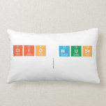 clio Muse
   Pillows (Lumbar)