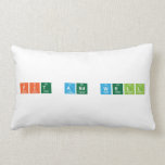FIT and WELL  Pillows (Lumbar)