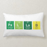 PAllab  Pillows (Lumbar)