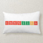 ArHeKrRnUuoXe  Pillows (Lumbar)