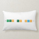 que|s'to sa|s?  Pillows (Lumbar)