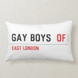 Gay boys   Pillows (Lumbar)