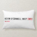 Kevin o'cONNELL WAY  Pillows (Lumbar)