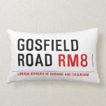 Gosfield Road  Pillows (Lumbar)