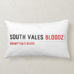 South Vales  Pillows (Lumbar)