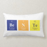 Bente  Pillows (Lumbar)
