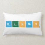 DENNIS  Pillows (Lumbar)