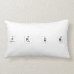 P R O M  Pillows (Lumbar)