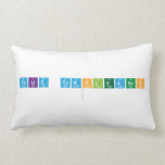 FELIZ CUMPLEANOS
   Pillows (Lumbar)
