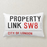  Property Link  Pillows (Lumbar)
