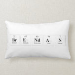 Brendan  Pillows (Lumbar)