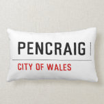 pencraig   Pillows (Lumbar)