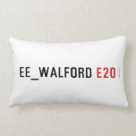 EE_Walford  Pillows (Lumbar)