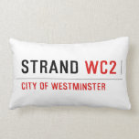 strand  Pillows (Lumbar)