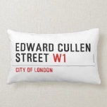 Edward Cullen Street  Pillows (Lumbar)