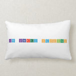 life liberty happiness  Pillows (Lumbar)