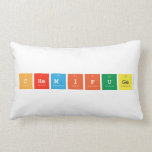 Chemifuge  Pillows (Lumbar)