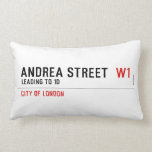 Andrea street   Pillows (Lumbar)