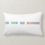 The Code to Success
   Pillows (Lumbar)