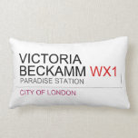 Victoria  Beckamm  Pillows (Lumbar)