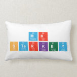 Mr 
 Starkey  Pillows (Lumbar)